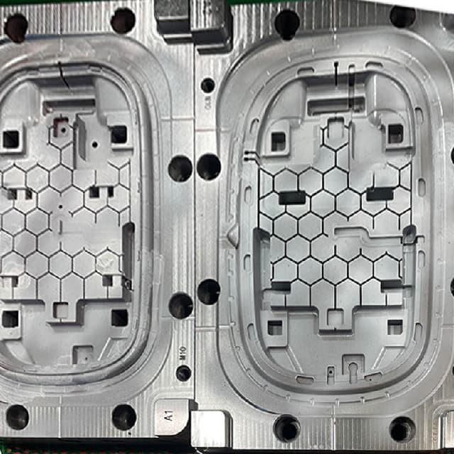 mold